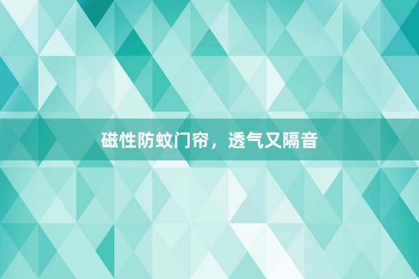 磁性防蚊门帘，透气又隔音
