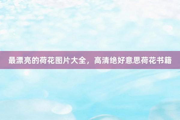 最漂亮的荷花图片大全，高清绝好意思荷花书籍