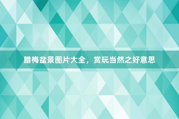 腊梅盆景图片大全，赏玩当然之好意思
